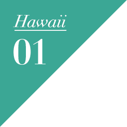 HAWAII 01