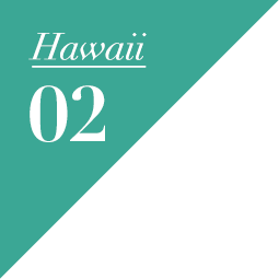 HAWAII 02