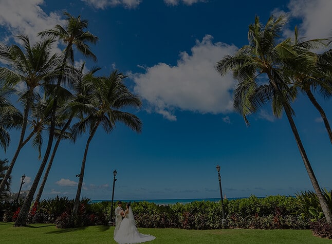 #綴るウエディング ARLUIS WEDDING