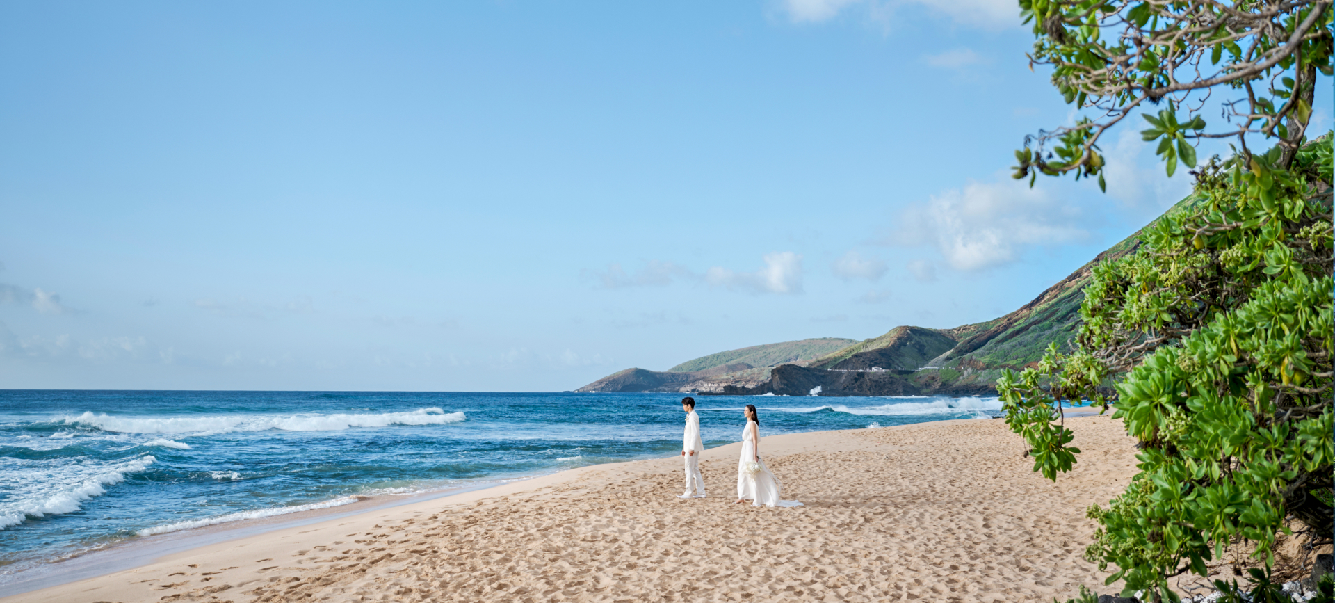 写真:ハワイフォトウェディング