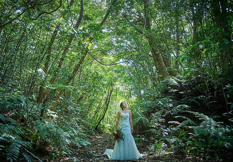 太陽が彩る自然の教会