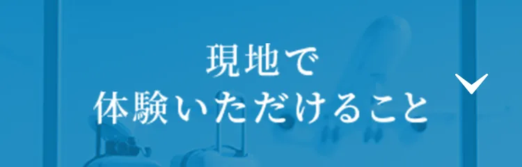 現地で体験いただけること