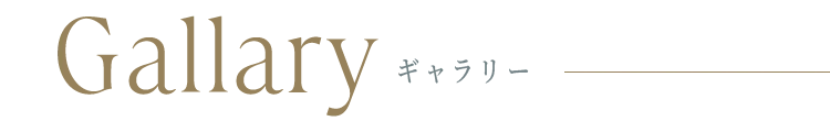 ギャラリー