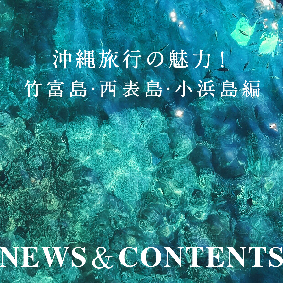 沖縄旅行の魅力！竹富島・小浜島・西表島編