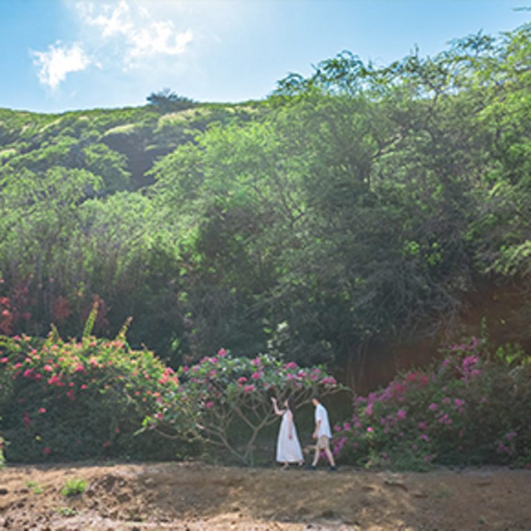 #251024_DIA_hawaii_705