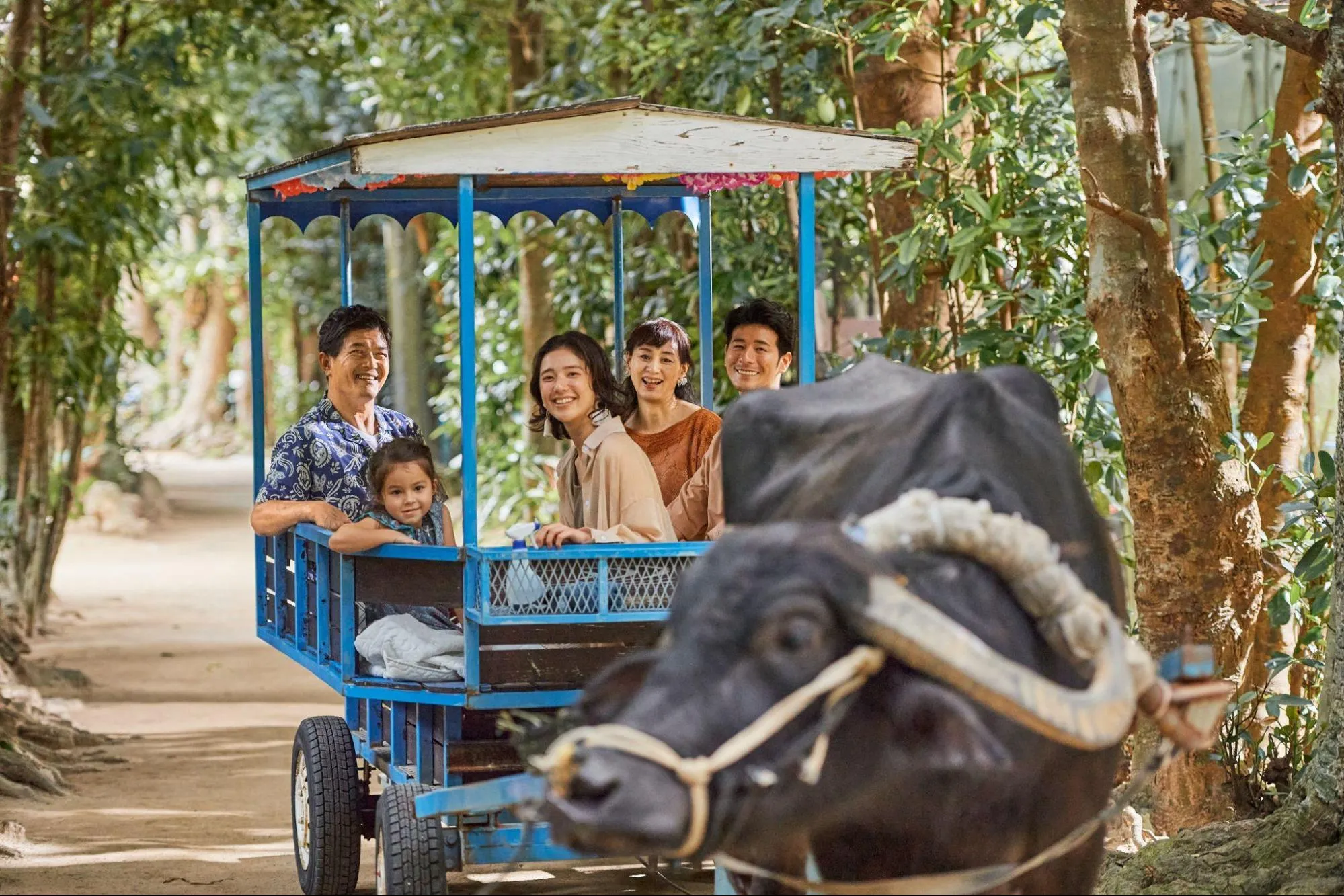 家族も招待しやすい