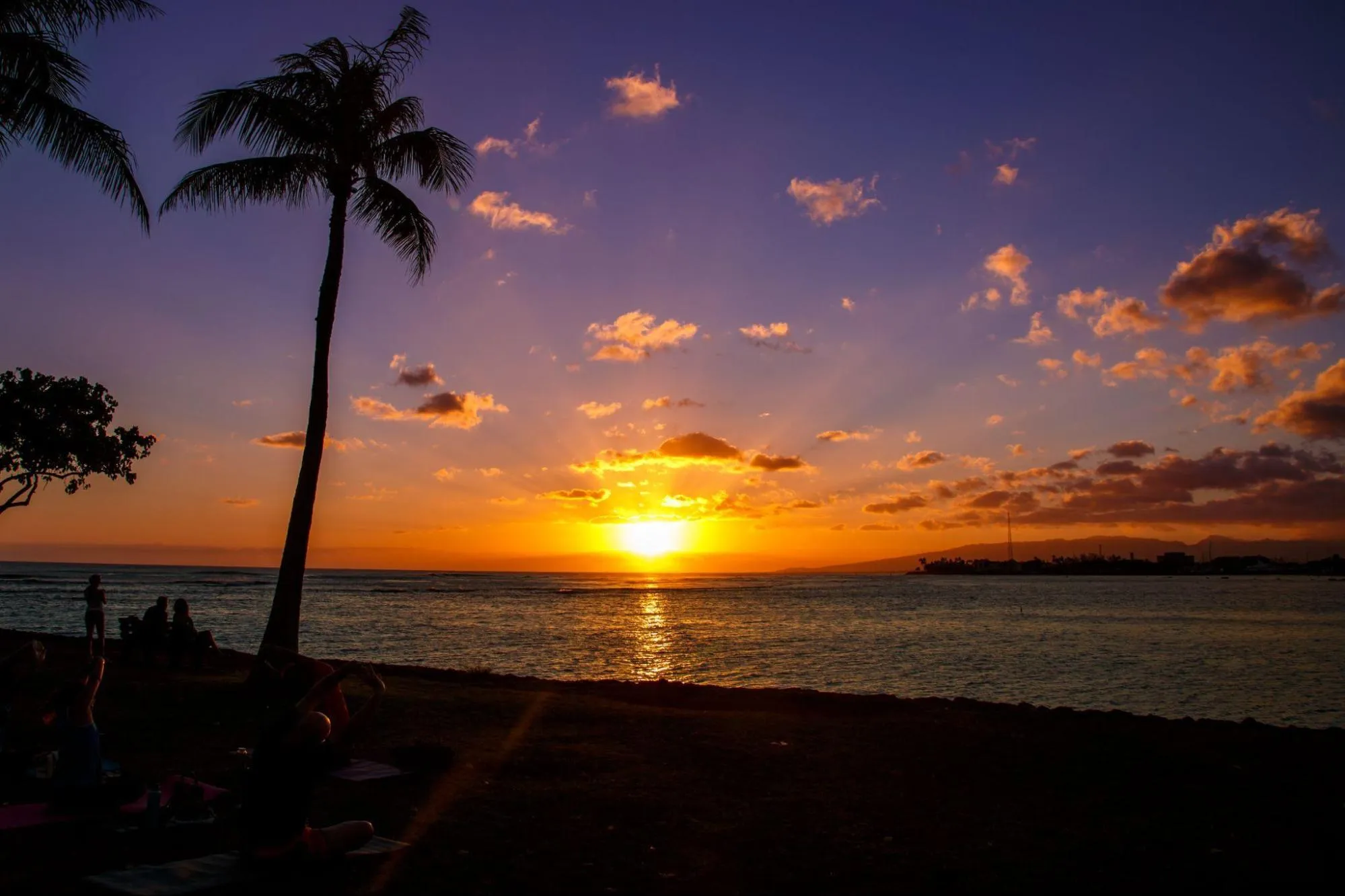 9〜11月：ハワイ火山国立公園（ハワイ島）・アラモアナ ビーチパーク