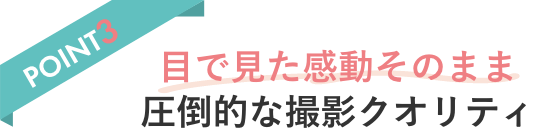POINT2 移動も撮影もラク リゾート専用ドレス込み