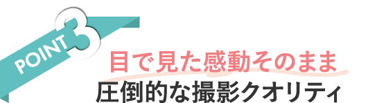 POINT2 移動も撮影もラク リゾート専用ドレス込み