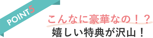 POINT2 移動も撮影もラク リゾート専用ドレス込み