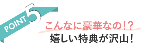 POINT2 移動も撮影もラク リゾート専用ドレス込み