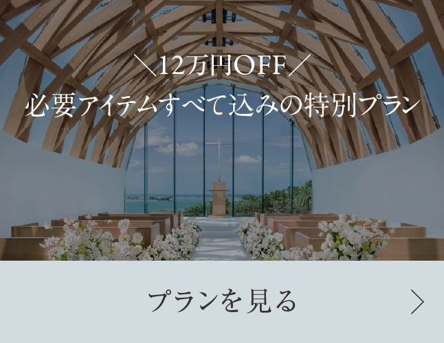 12万円OFF ドリンク飲み放題無料チケットつきプランを見る